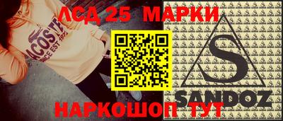 шишки Изобильный