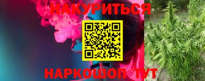 шишки Изобильный