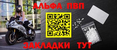 шишки Изобильный