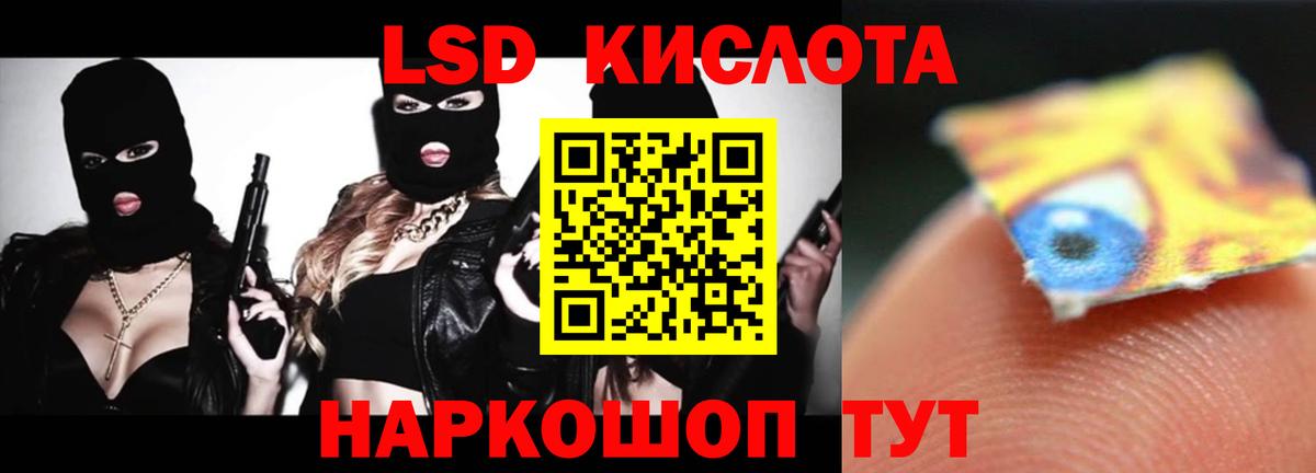 ЛСД экстази  LSD-25 экстази кислота  ЛСД экстази кислота  Вход с VPN  Новозыбков 